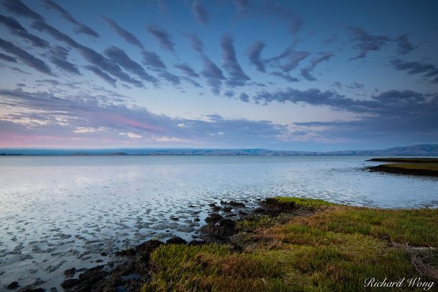 Baylands Nature Preserve print