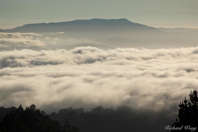 Vollmer Peak Scenic View of Bay Area Fog at Sunset With Mount Tamalpais in Background, Tilden Regional Park, California