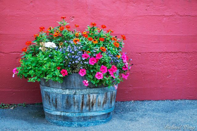 Potted Flowers print