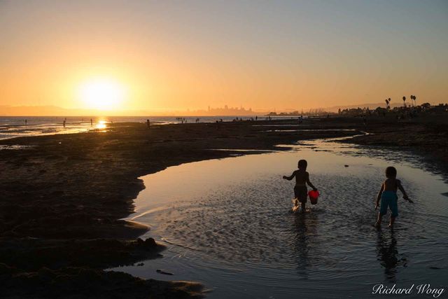 Robert Crown Memorial State Beach, Alameda, California