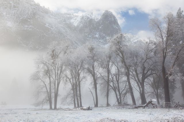 Foggy Sunrise at Cook's Meadow After Spring Snowstorm, Yosemite National Park, California