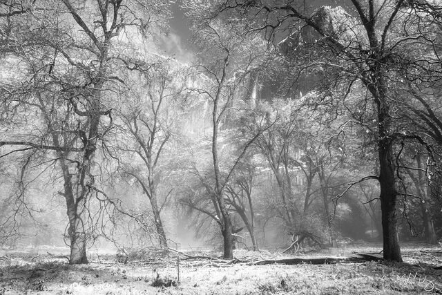 Black and White Photo: Yosemite Falls After Spring Snowstorm, Yosemite National Park, California