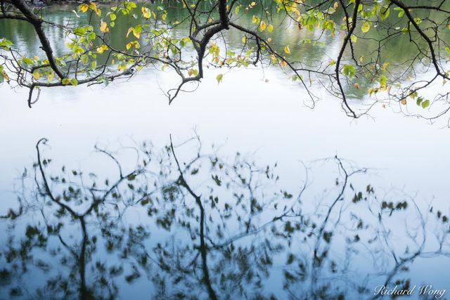 Stow Lake at Golden Gate Park Fall Abstract, San Francisco, California, photo