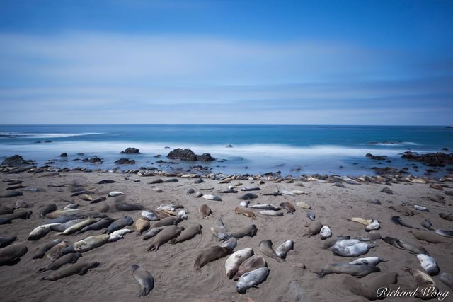 Point Piedras Blancas print