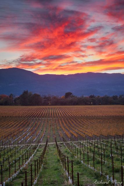 Fall Sunset Over Napa Valley, California, photo