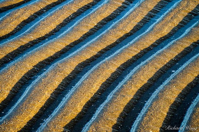 Sand Pattern Abstracts, Alameda, California, photo