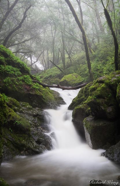 Cataract Creek print