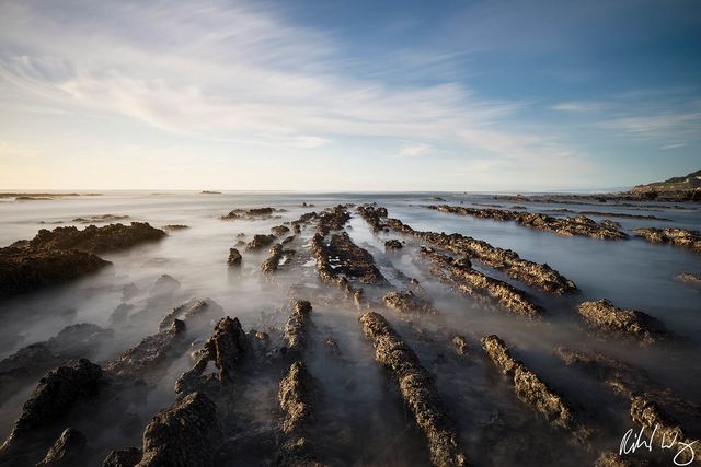 james fitzgerald marine reserve, san mateo coast, california, photo