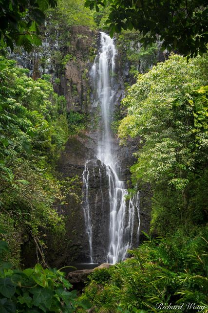 The Road to Hana print