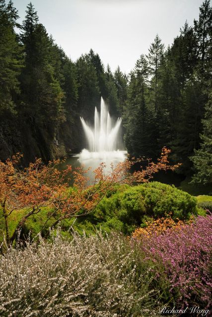 Ross Fountain Spring print