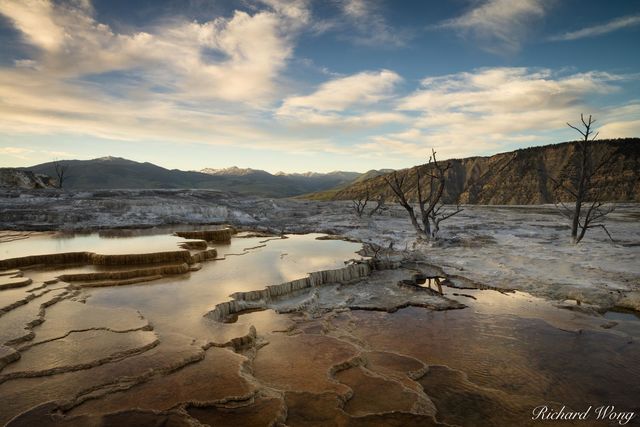 Mammoth Hot Springs print