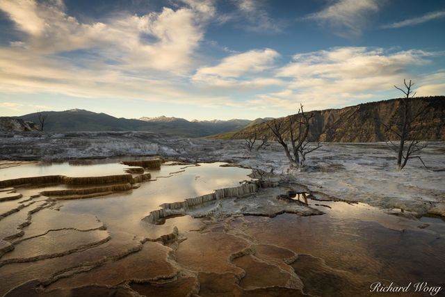 Mammoth Hot Springs