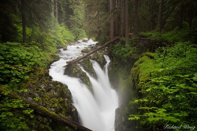 Sol Duc Falls, Olympic National Park, Washington, photo