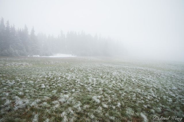 Snow Ridge print