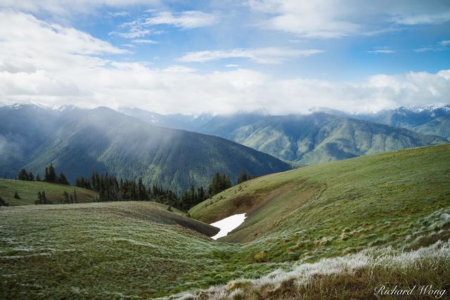 Hurricane Ridge, Olympic National Park, Washington, photo