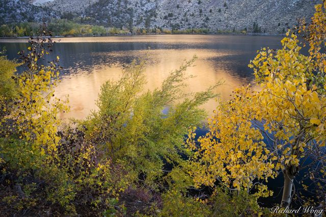 Convict Lake Fall Colors, Inyo National Forest, California