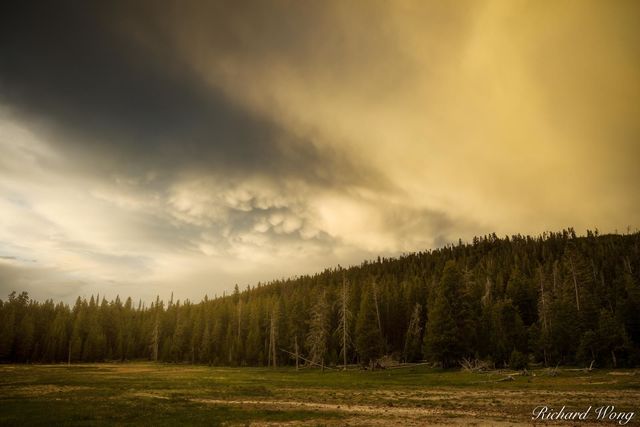 Mammatus Clouds