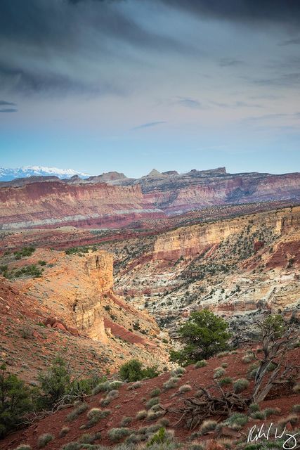 Goosenecks & Waterpocket Fold, Capitol Reef National Park, Utah