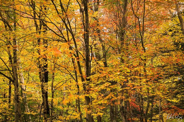 Kancagamus Highway, White Mountain National Forest, New Hampshire