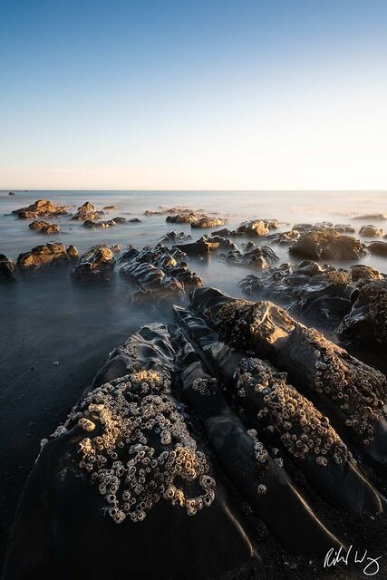 Tidepool Sunset, Brookings, Oregon, photo