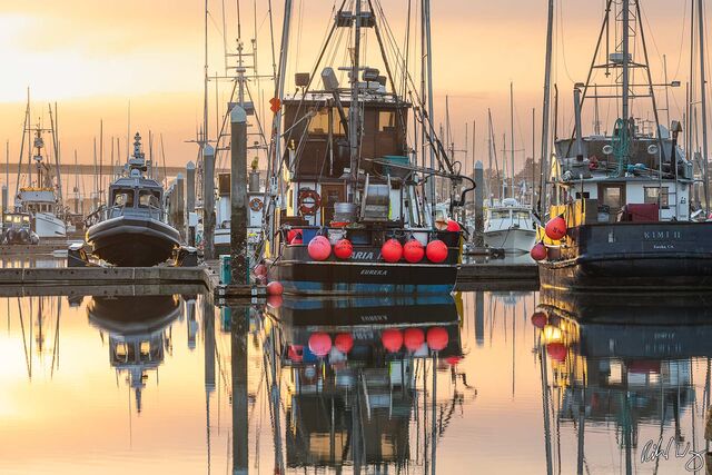 Woodley Island Marina Sunrise, Eureka, California, photo