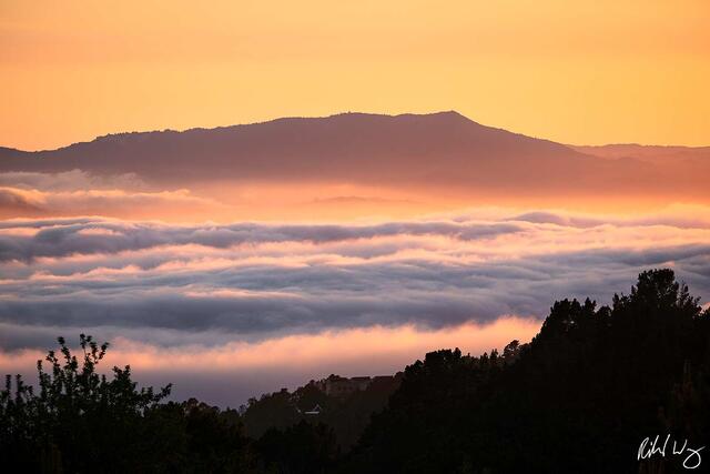 Layer of Fog at Sunset With Mount Tamalpais in Background, Berkeley, California