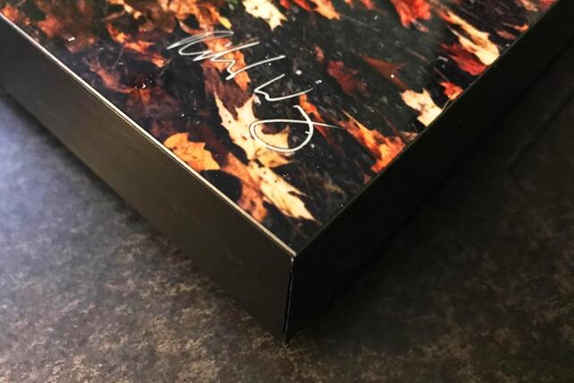 Limited Edition ChromaLuxe Metal Edge Mount - Ready To Hang