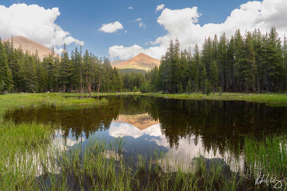 Mono Pass Reflections print