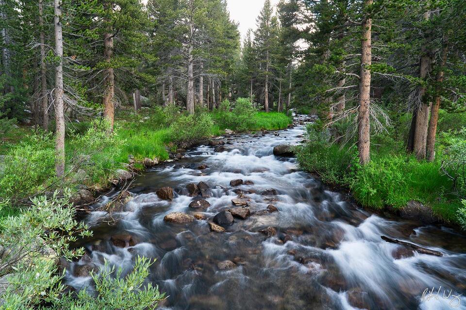 Rock Creek print