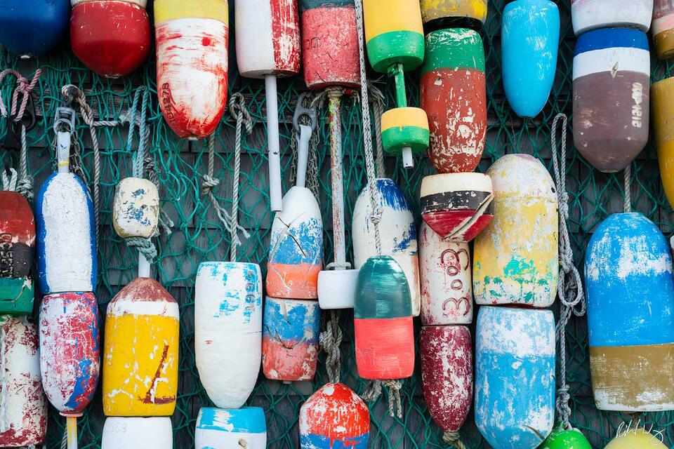 Lobster Buoys print