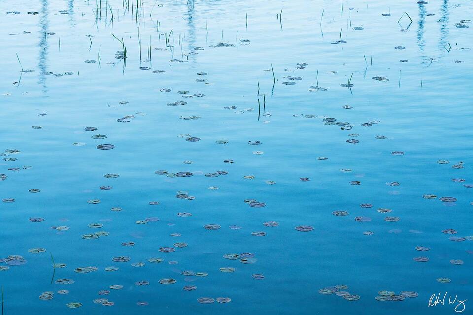 Otsego Lake print