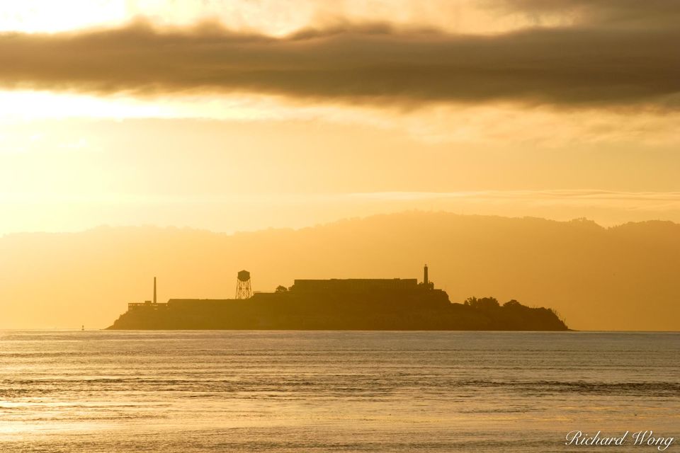 Alcatraz print