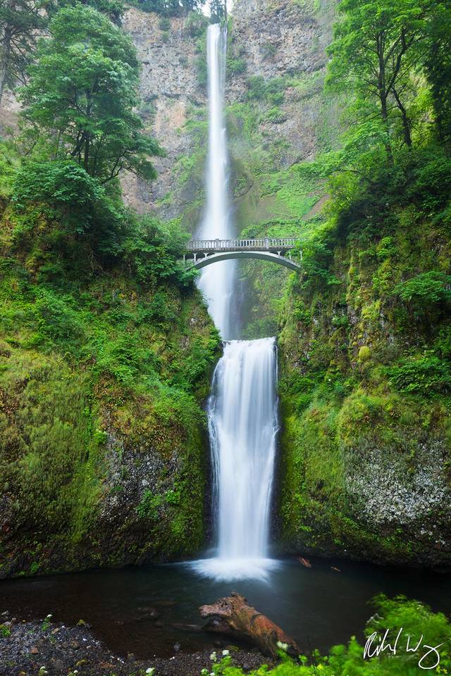 Multnomah Falls print