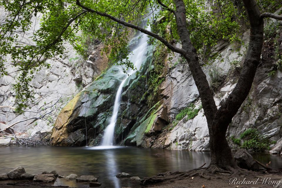 Sturtevant Falls print