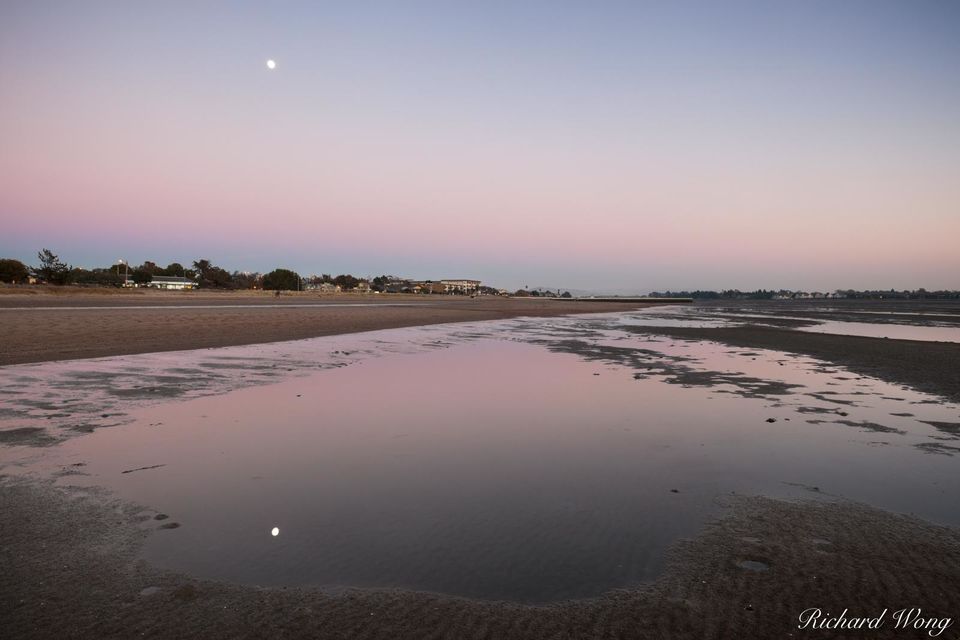 South Shore Beach print