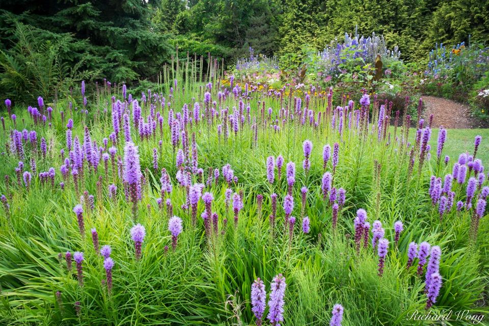 VanDusen Botanical Garden