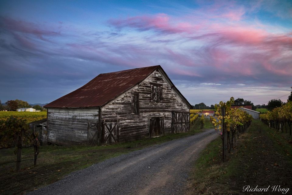 Dry Creek Valley Barn print