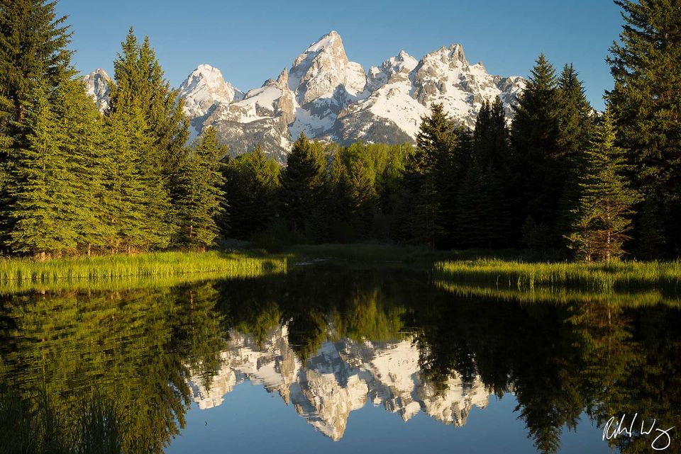 Schwabacher Landing print