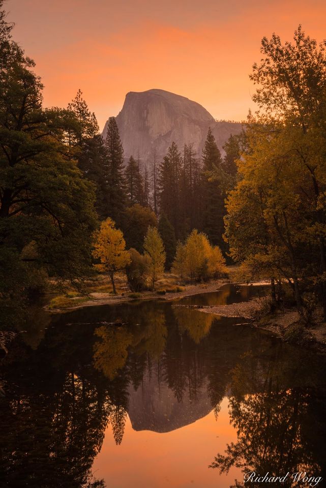 Bierstadt's Playground print