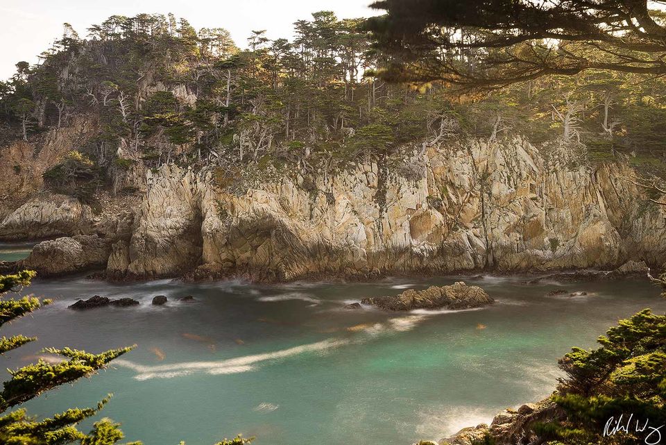 Allan Memorial Grove Scenic Overlook, Point Lobos State Natural Reserve, California, Photo