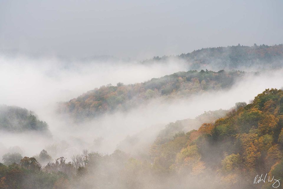 New England Fog print