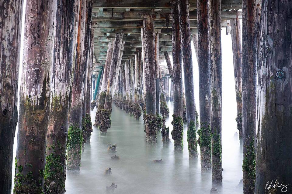 Capitola Wharf print