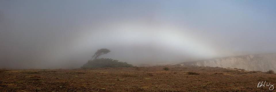 Fogbow Panoramic at Bodega Head, Sonoma Coast, California