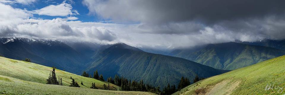 Hurricane Ridge Panoramic, Olympic National Park, Washington