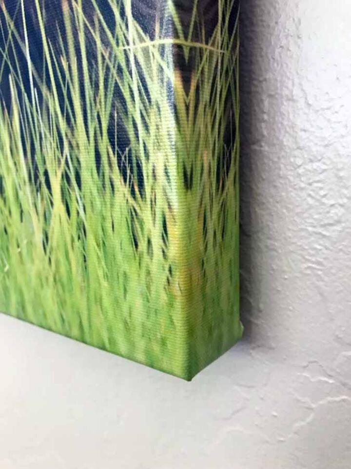 Canvas Gallery Wrap - Ready To Hang