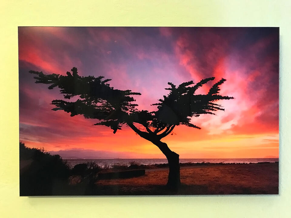 Limited Edition Lumachrome Acrylic Print - Ready To Hang