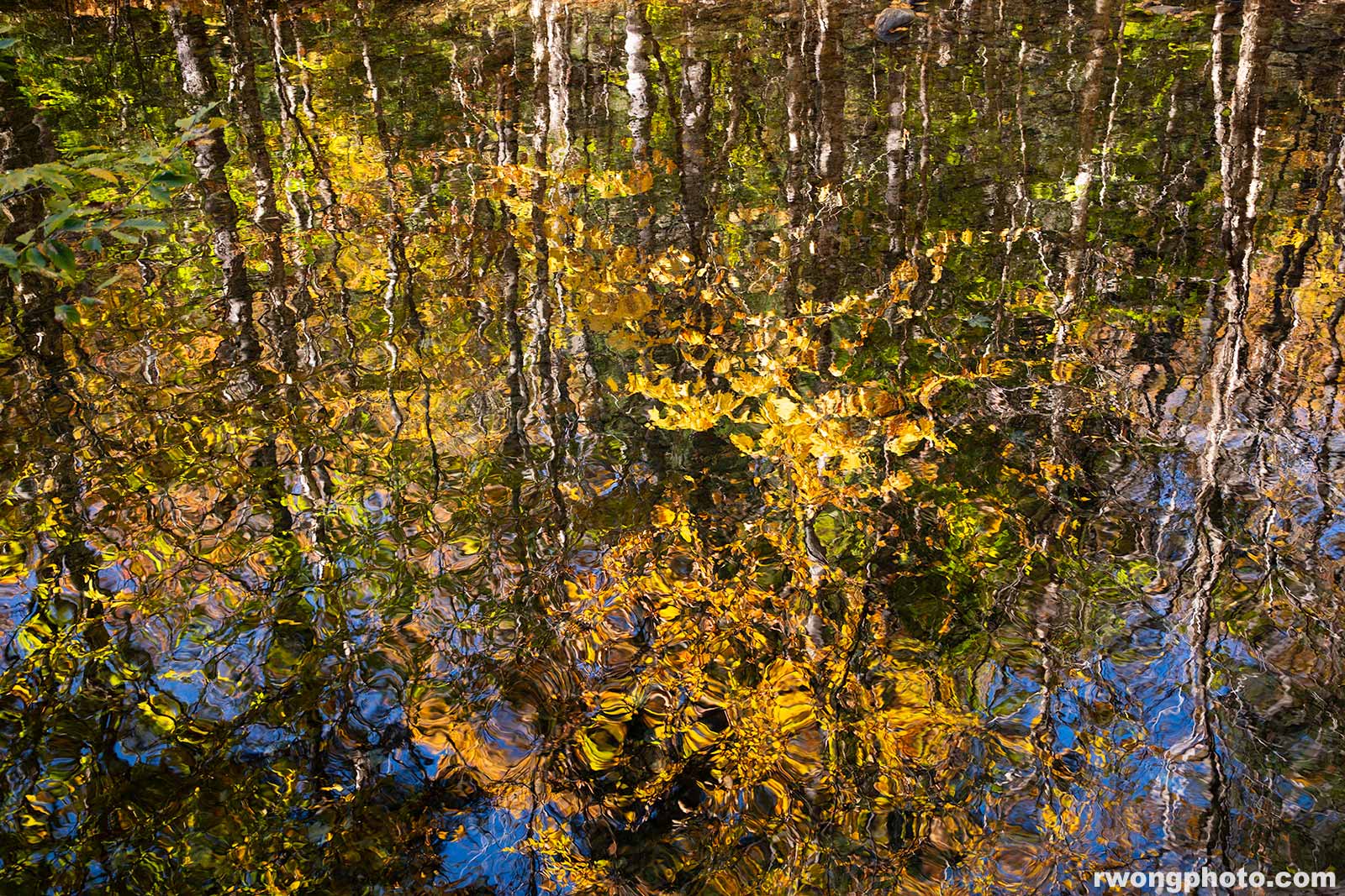 Fall Foliage Water Reflections Near Warren Falls, Vermont photo
