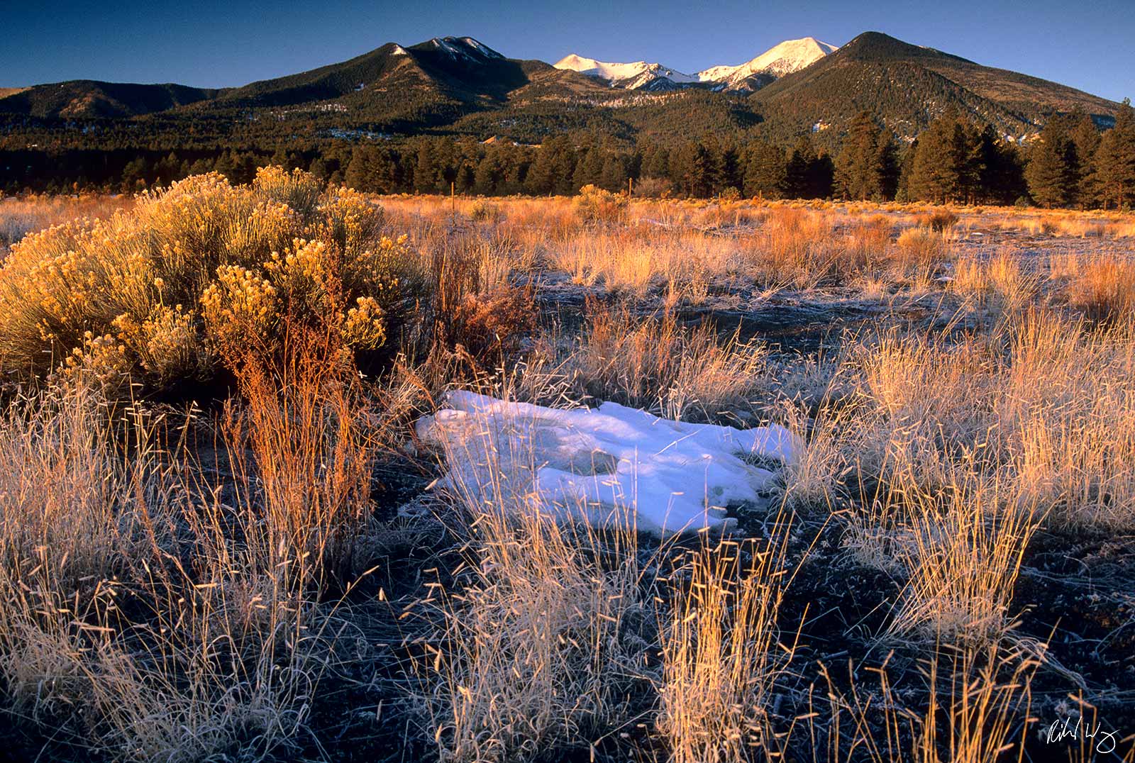 Bonito Meadow and San Francisco Peaks, Sunset Crater Volcano National Monument, Arizona