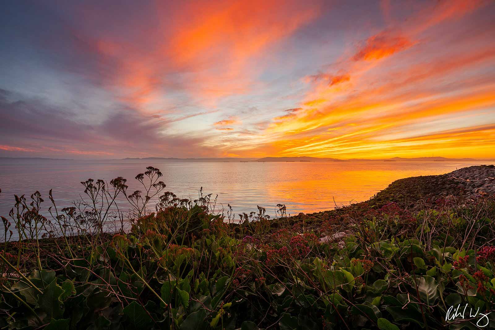 Winter Sunset Over San Francisco Bay, Alameda, California, photo