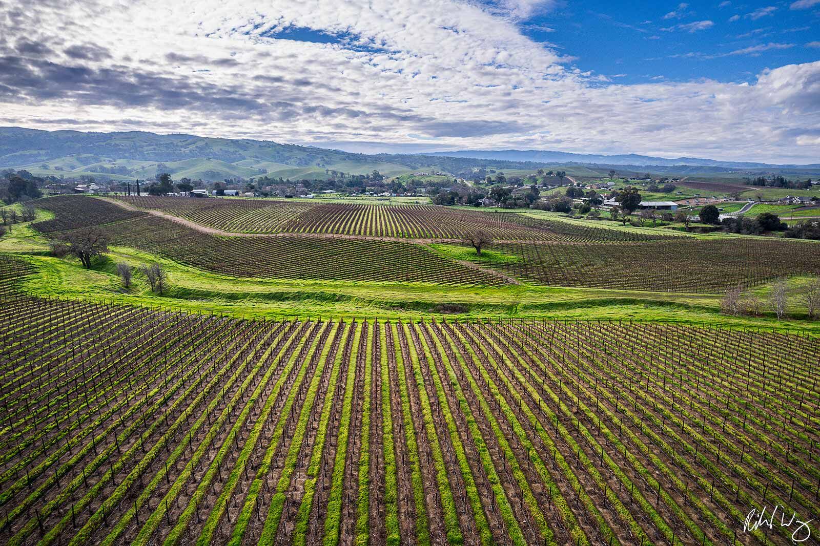 Livermore Valley Wine Country Drone Aerial, Livermore, California, photo